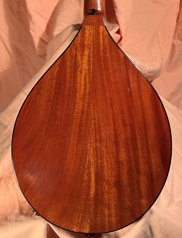 laughlin mahogany mandolin